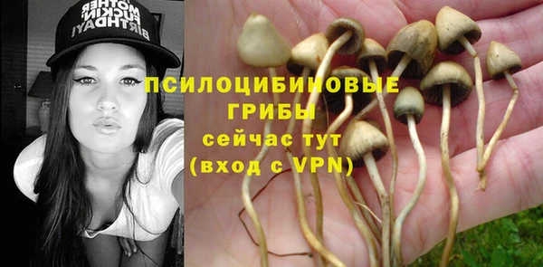 твердый Лихославль