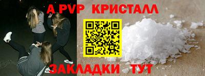 шишки Изобильный