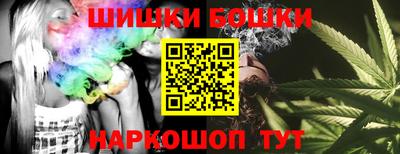шишки Заводоуковск
