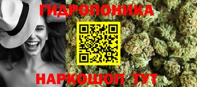 шишки Заводоуковск