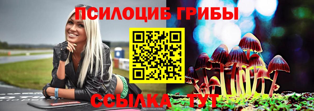 Похвистнево  Галлюциногенные грибы Cubensis  Псилоцибиновые грибы MAGIC MUSHROOMS  Вход с VPN 